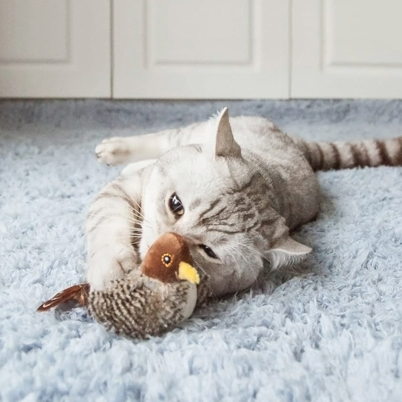 Cat Toys