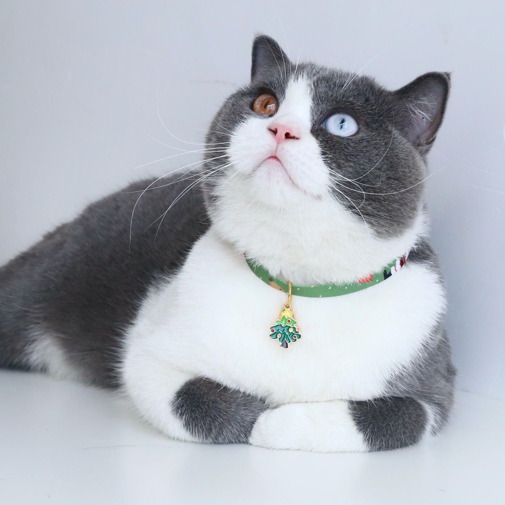 Pet Christmas pendant, bell collar, anti-choking buckle, cat and dog adjustable necklace, accessories, cute pendant.