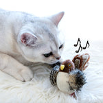 Chirping Bird Sound Toy that Stimulates Pet's Hunting Instincts - Perfect for Cat and Dog