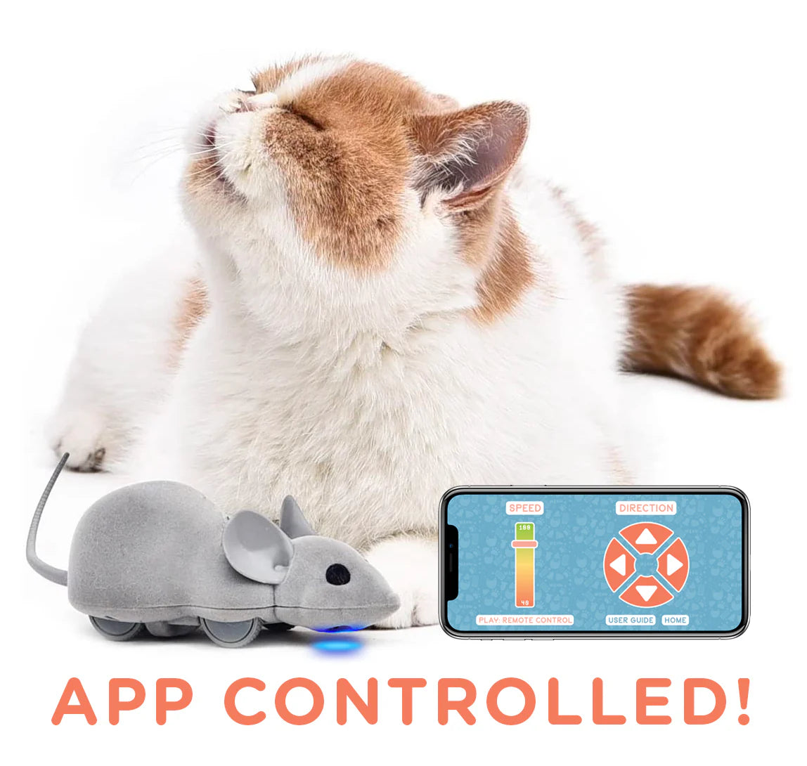 Mouse Hunt Cat Toy, App Controlled